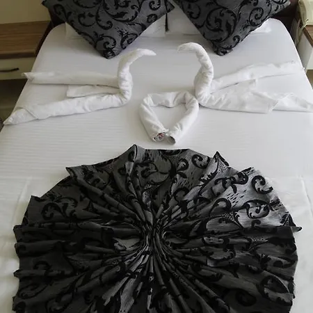 酒店 Efes 安卡拉