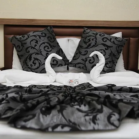 酒店 Efes 安卡拉